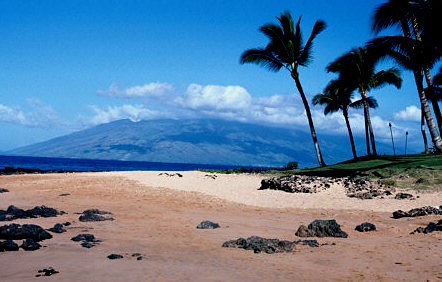 maalea-bay-maui.jpg