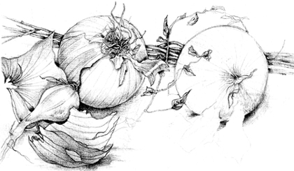onion-small.jpg