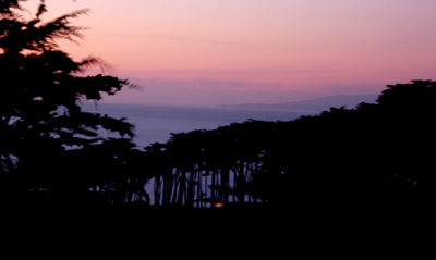 out-my-window.jpg